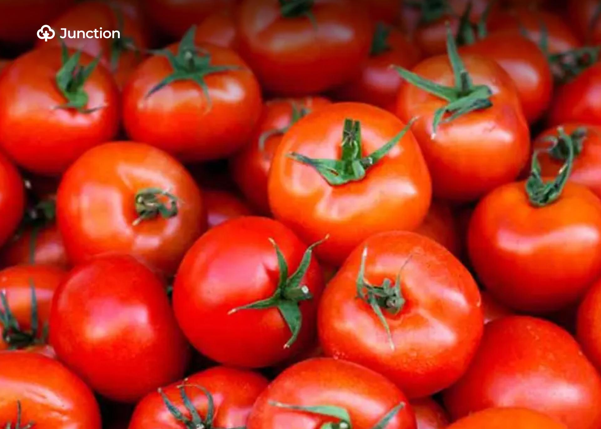 Nigeria Risks Rice, Tomato Shortages Within Three Months, OTACCWA Warns