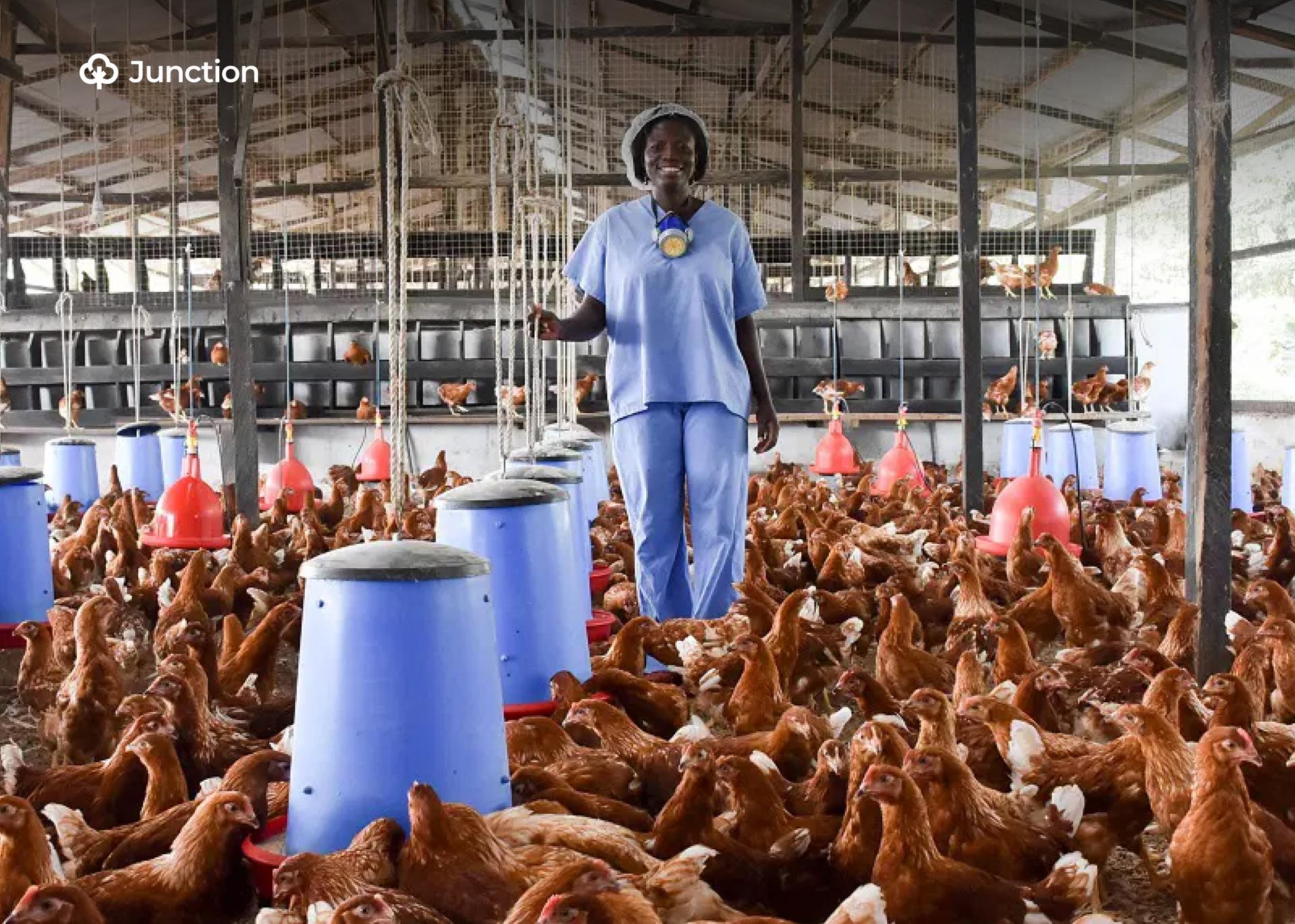 FG Inaugurates Technical Working Group to Tackle Newcastle Disease