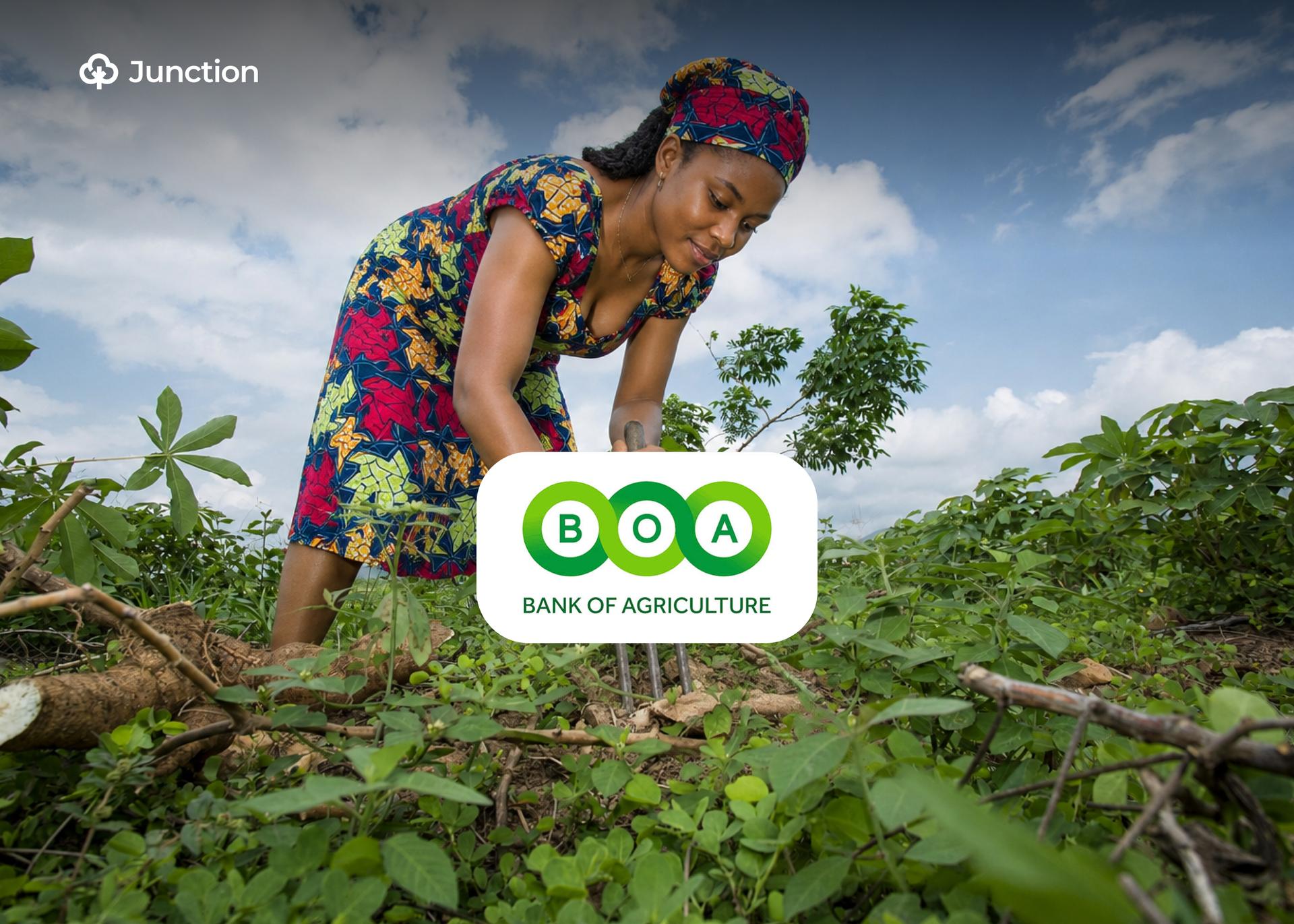 Nigeria’s ₦550bn BoA Plan Targets Smallholder Finance and Farm-Gate Price Risks
