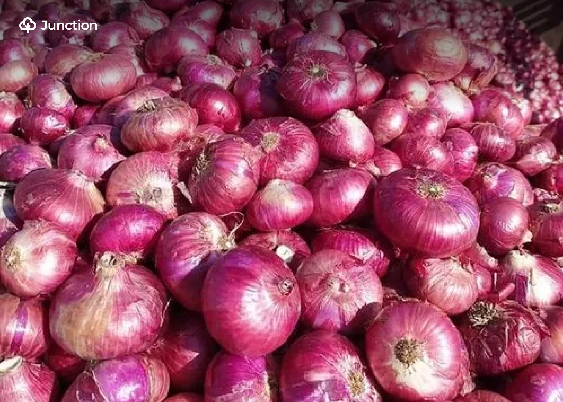 NOPPMAN Lifts Onion Export Suspension to Ghana After Diplomatic Talks