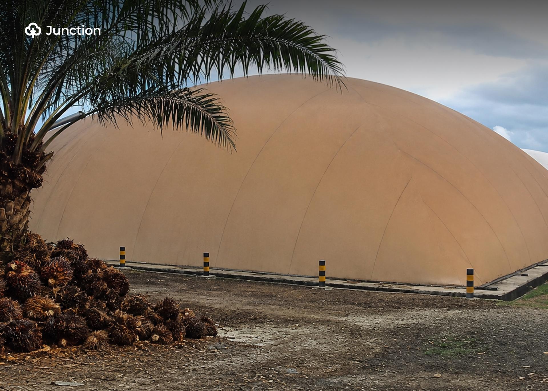 Nigerian Researchers Use AI to Produce Biogas from Oil Palm Waste