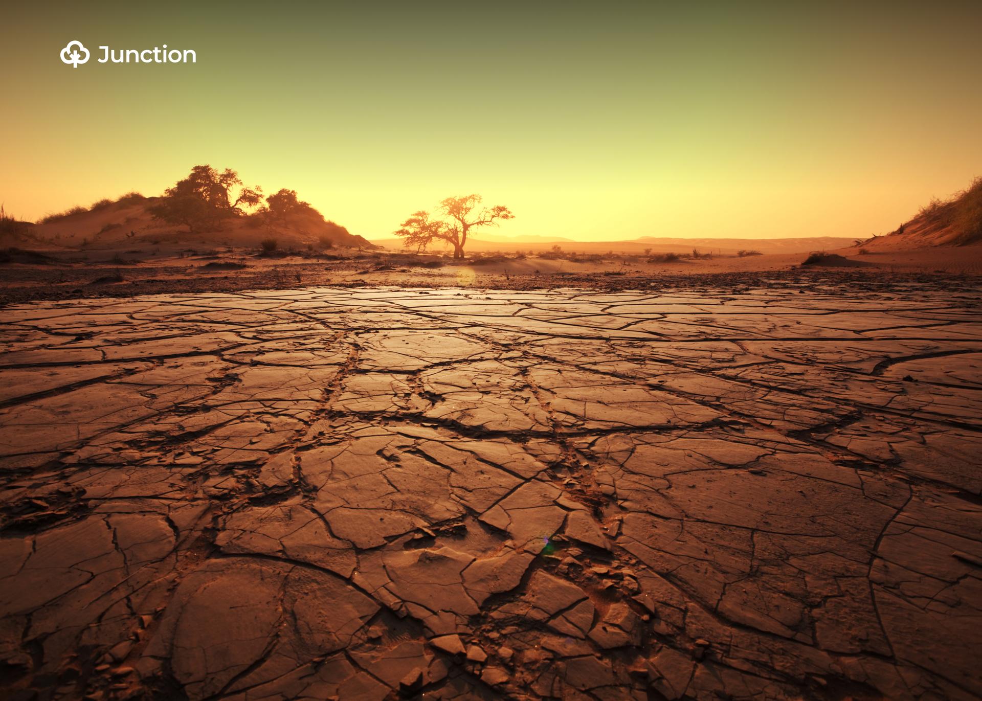 Nigeria Seeks Stronger Drought Rules At UNCCD COP17, Funding as Land Degradation Hits Half of Country