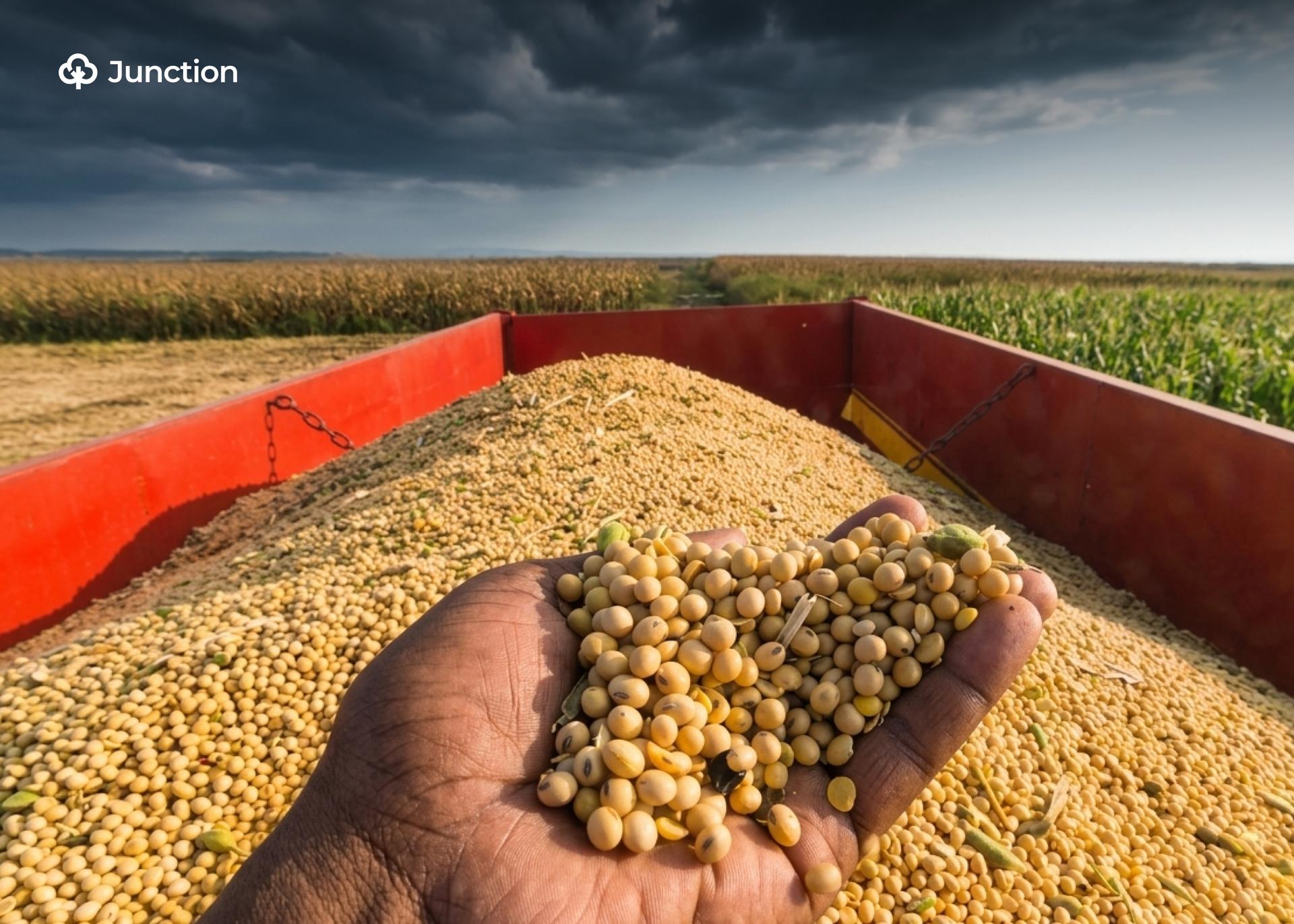 Sasakawa Africa Calls for Innovation in Maize, Soybean Farming