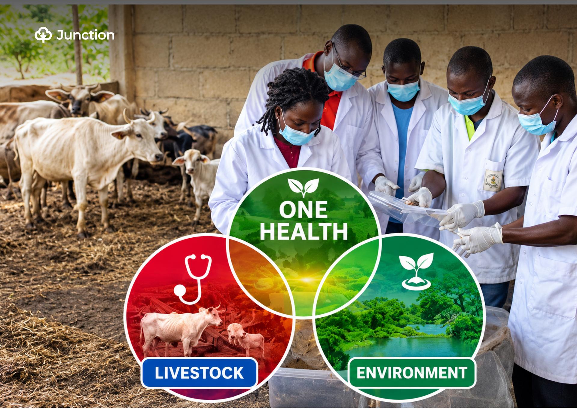 UNIDO, Nigeria Discuss Systems to Track Livestock From Farm to Market