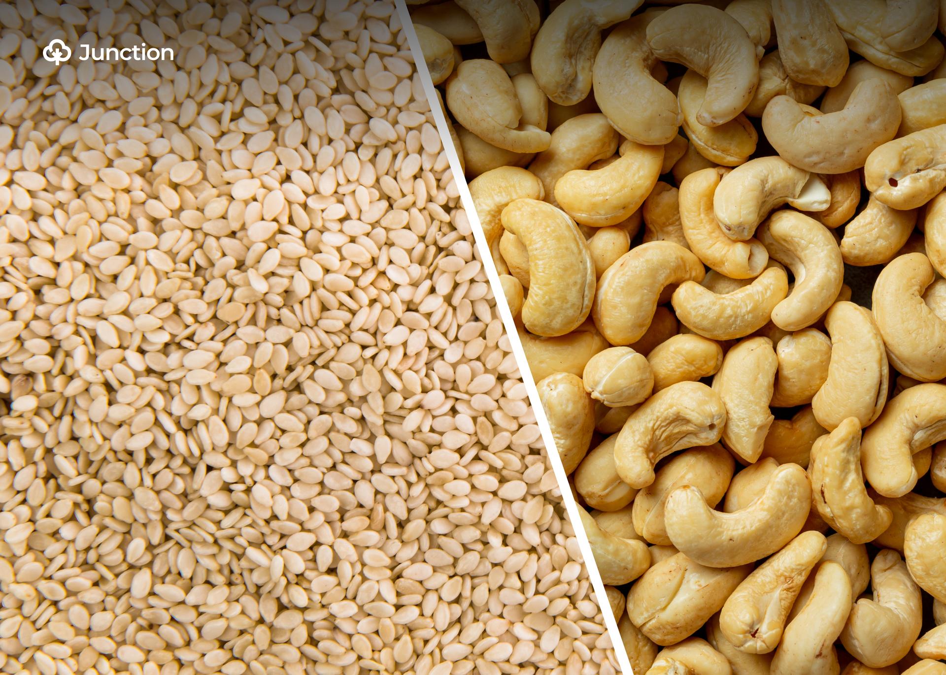 Johnvents Seeks $72 Million IFC Loan for Sesame, Cashew Factories in West Africa