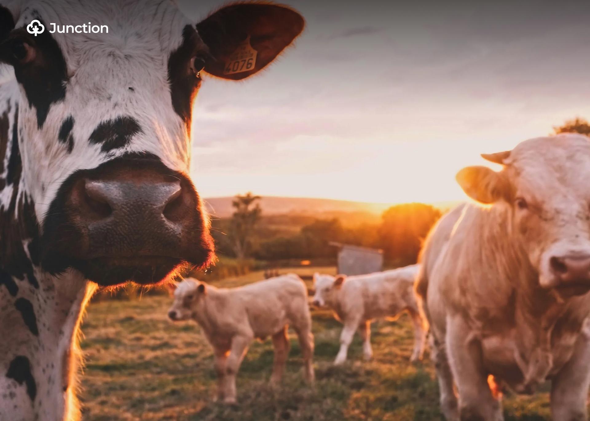 FG Partners Farmers with Disabilities to Boost Livestock Sector