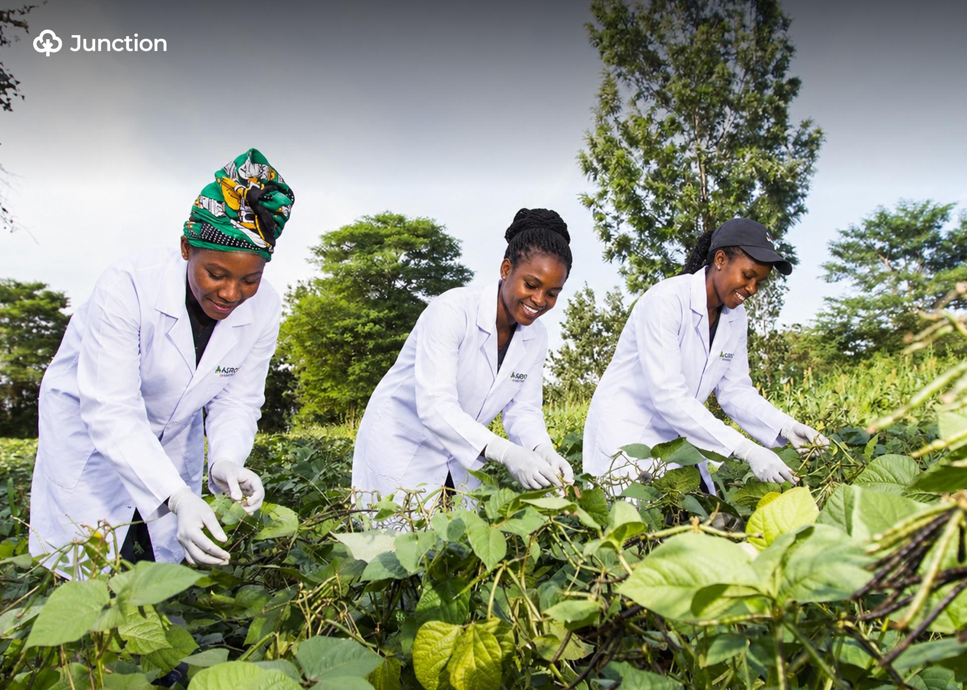 AfDB Approves $61m for DBN to Boost Women-Led Agribusinesses in Nigeria