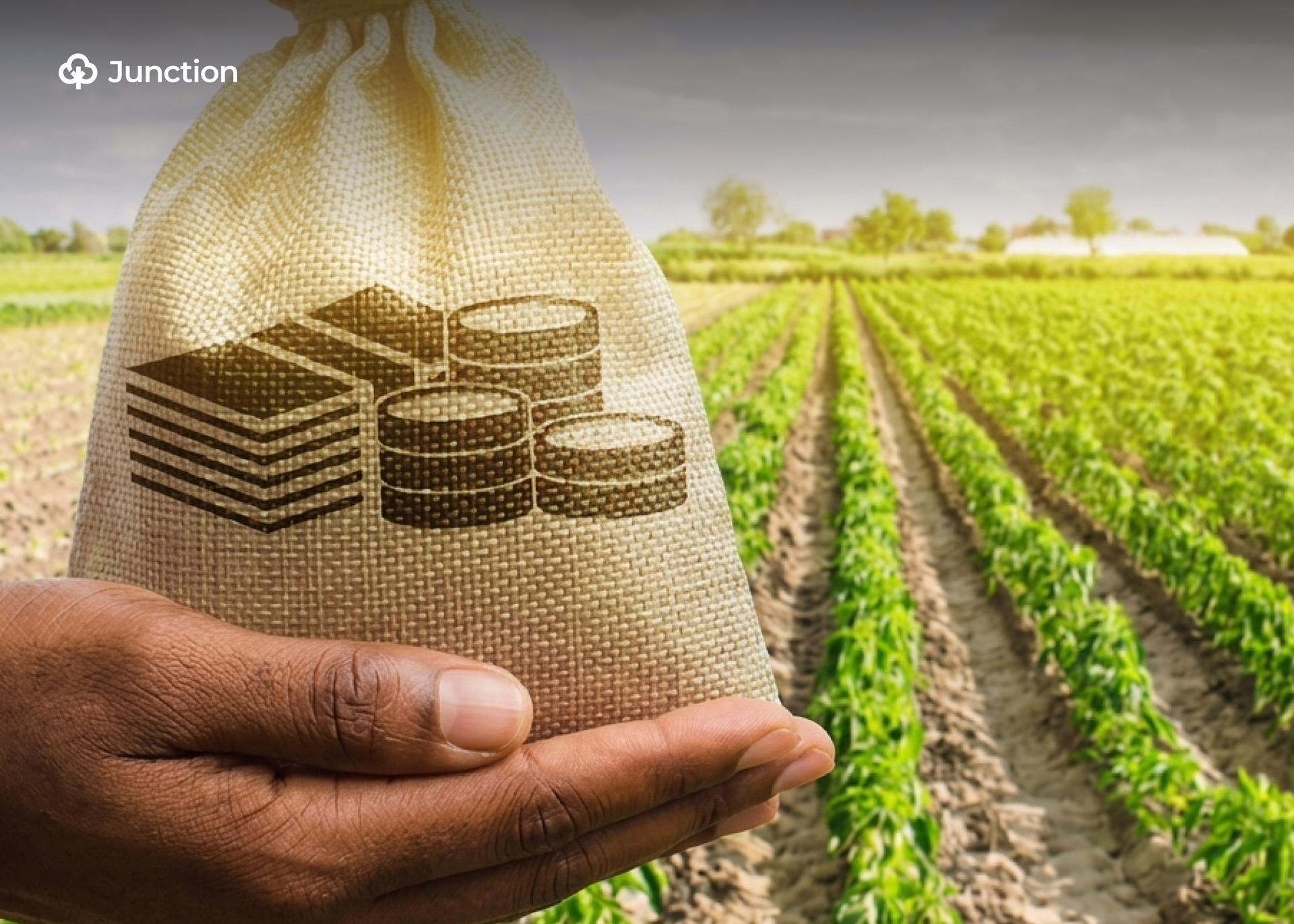 Nigerian Agripreneurs Eligible for €2.2m Opportunity Crops Grant Programme