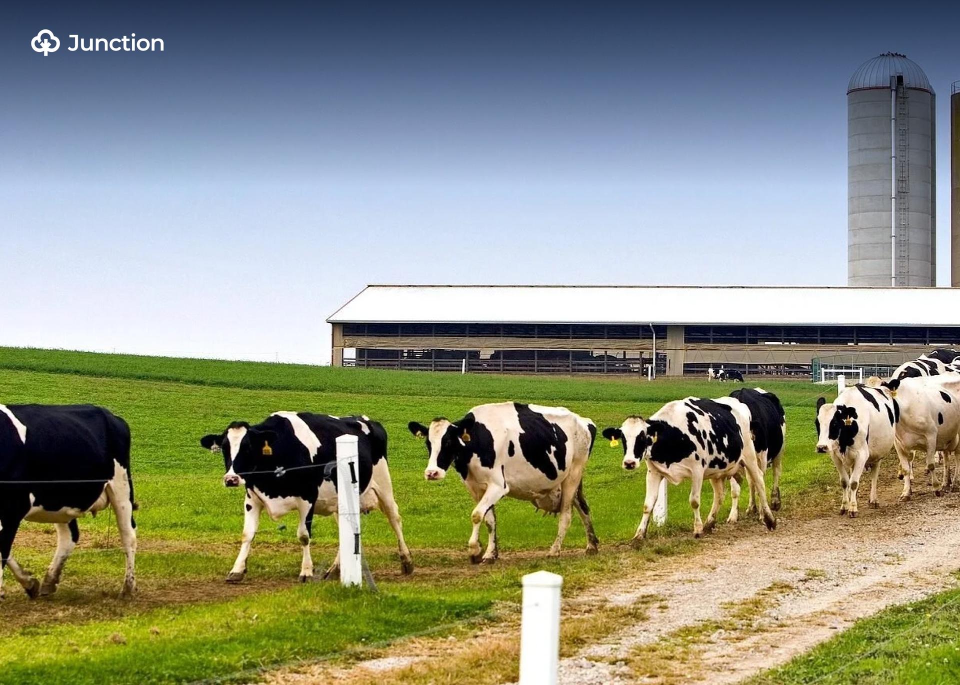 L-PRES Records 1.4 Million Beneficiaries, Improves Livestock Output