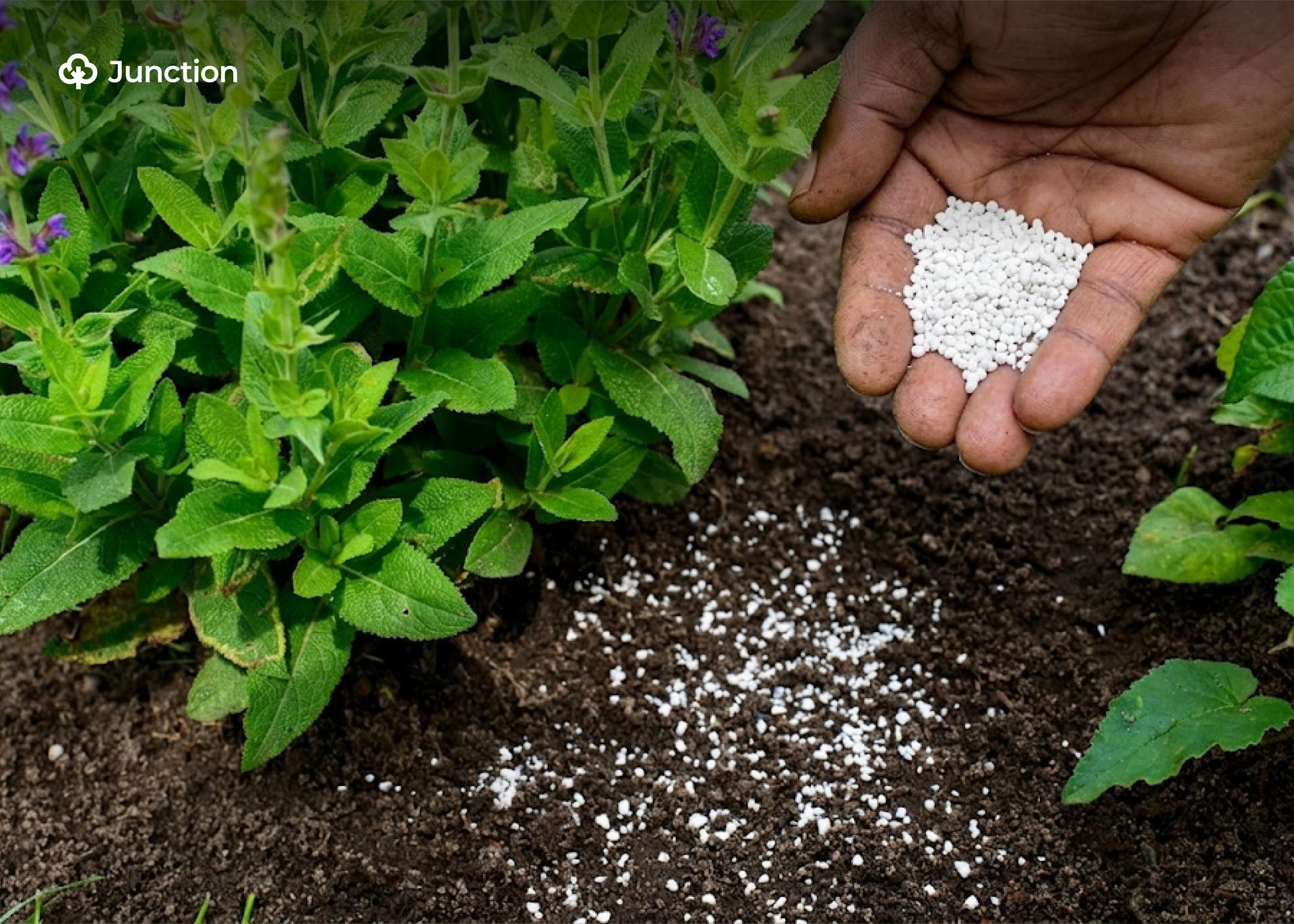 NADF Unveils Harmonised Fertiliser Manual to Boost Yields, Restore Soils