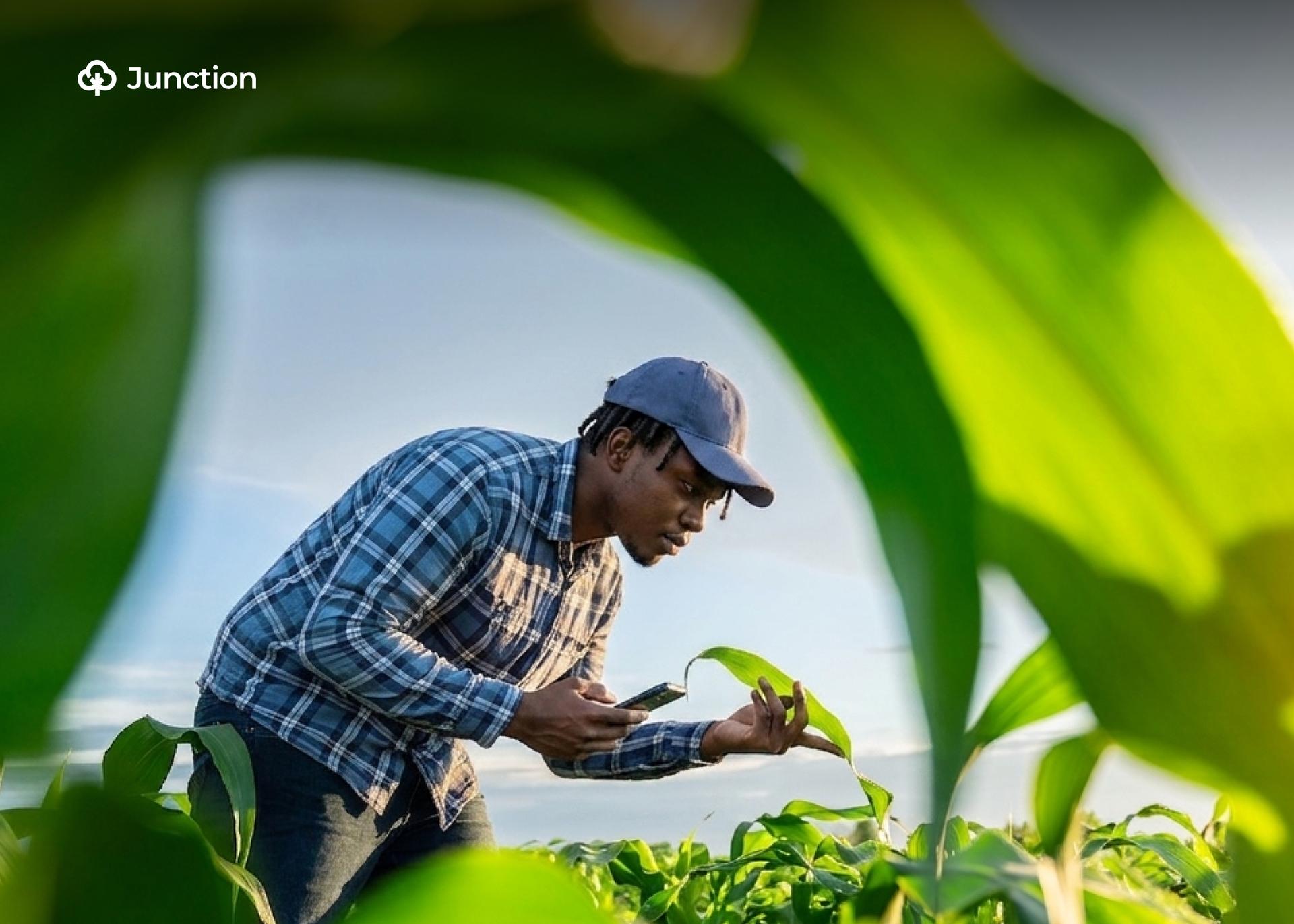 FG Inaugurates Technical Working Group On Agricultural Standards