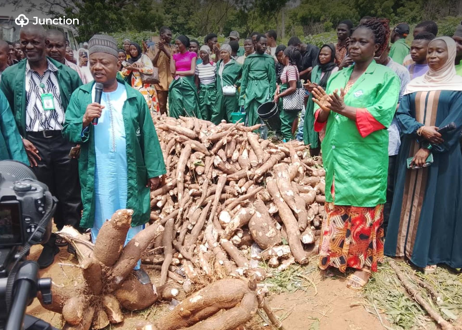 Kwara Poly Harvests 250 Tonnes of Cassava, Expands Commercial Farming Projects